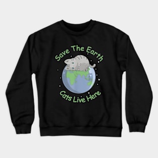 Earth Day Planet Anniversary Earth Day Everyday Crewneck Sweatshirt